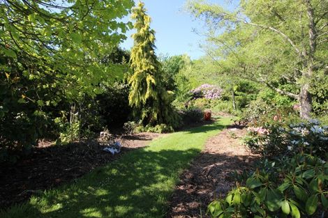 Photo of property in 40 Hunts Road, Waimate, 7978