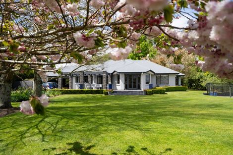 Photo of property in 80 Maungakawa Road, Cambridge, 3496