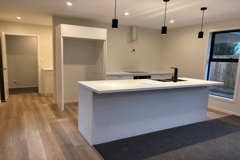 Photo of property in 86 Hill Street, Richmond, 7020