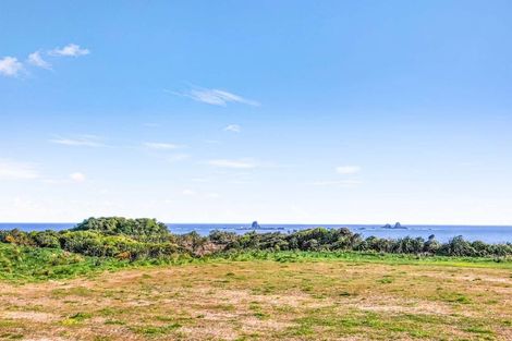 Photo of property in 966b Cape Foulwind Road, Cape Foulwind, 7892