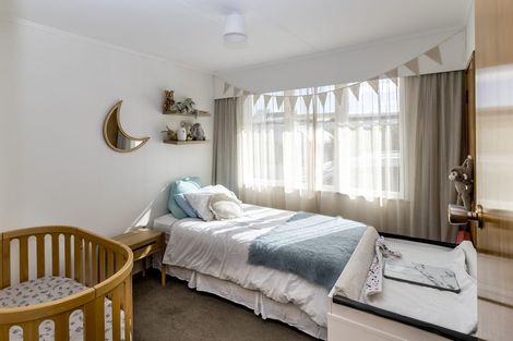 Photo of property in 151 Limbrick Street, Terrace End, Palmerston North, 4410