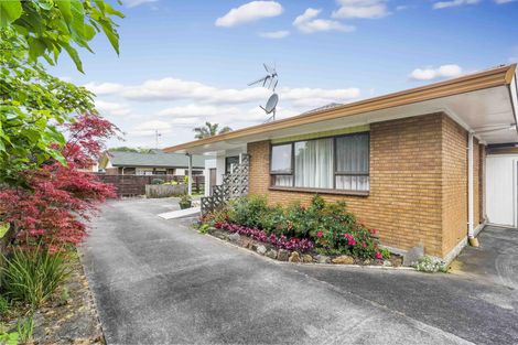 Photo of property in 110c Studholme Street, Morrinsville, 3300