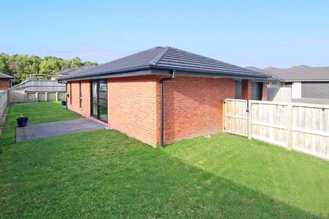 Photo of property in 48 Tupelo Street, Pukete, Hamilton, 3200