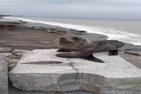 Photo of property in 23 Clifton Road, Haumoana, 4102