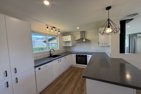 Photo of property in 103 Waenga Drive, Cromwell, 9310