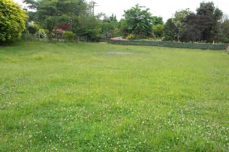 Photo of property in 29 Herbert Street, Kihikihi, Te Awamutu, 3800