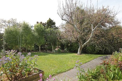 Photo of property in 3 Highfield Road, Feilding, 4702