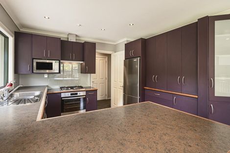 Photo of property in 41 Roto Street, Hurdon, New Plymouth, 4310