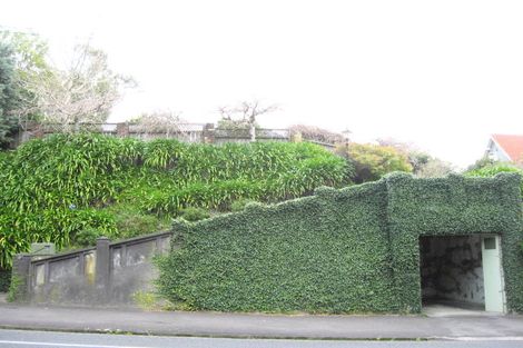 Photo of property in 96 Carrington Street, Lower Vogeltown, New Plymouth, 4310