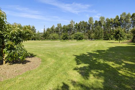 Photo of property in 52 Te Puke Highway, Kairua, Te Puke, 3187