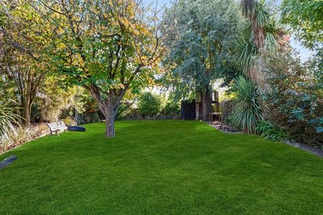 Photo of property in 35 Paparoa Street, Papanui, Christchurch, 8053