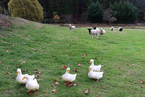 Photo of property in 26 Briggs Road, Onamalutu, Wairau Valley, 7275