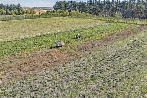 Photo of property in 581 Pesters Road, West Eyreton, 7475