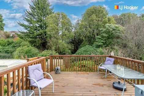 Photo of property in 19 Strathearn Avenue, Wakari, Dunedin, 9010