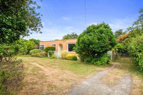 Photo of property in 22 Mckenzie Street, Levin, 5510