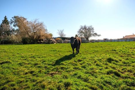 Photo of property in 26 Neal Street, Temuka, 7920