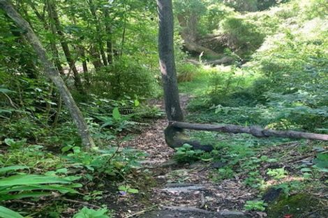 Photo of property in 530 Le Bons Bay Road, Le Bons Bay, 7583