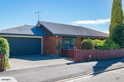 Photo of property in 21a Stephenson Street, Blenheim, 7201