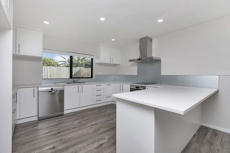 Photo of property in 229a Puhinui Road, Papatoetoe, Auckland, 2025