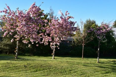 Photo of property in 23 Burnett Street, Oxford, 7430