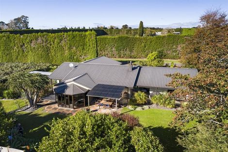 Photo of property in 61 Whitehead Avenue, Te Puke, 3183