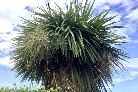 Photo of property in 9 Westfield Avenue, Templeton, Christchurch, 8042