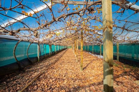 Photo of property in 80 Omaha Flats Road, Tawharanui Peninsula, Warkworth, 0986