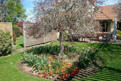 Photo of property in 20 Taranaki Drive, Woodend, 7610