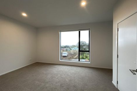 Photo of property in 29 Mabel Street, Levin, 5510