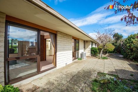 Photo of property in 19 Forfar Street, Mosgiel, 9024