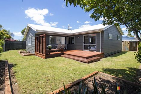 Photo of property in 3 Kenny Street, Waihi, 3610