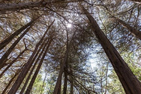 Photo of property in Annedale Road, Tinui, 5894