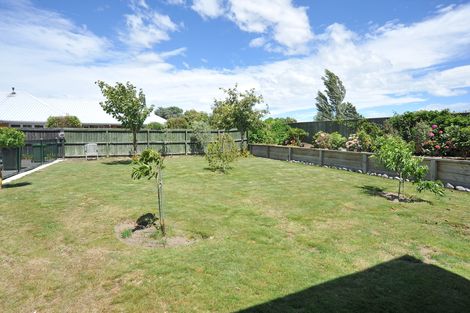 Photo of property in 133 Allison Crescent, Kaiapoi, 7630