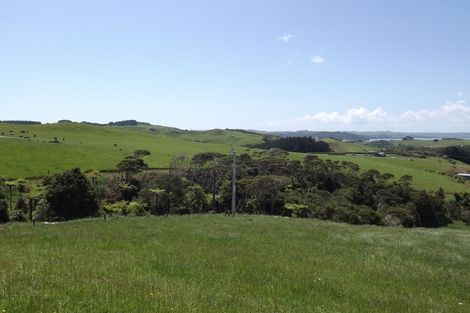 Photo of property in 23 Centrebush Lane, Raglan, 3295