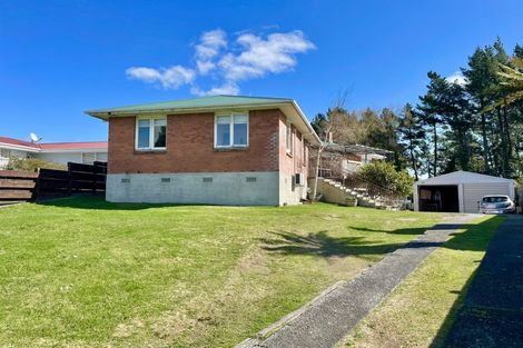 Photo of property in 20 Elizabeth Drive, Tokoroa, 3420