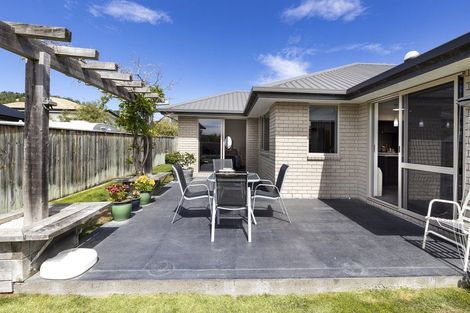 Photo of property in 223 Taylor Pass Road, Witherlea, Blenheim, 7201