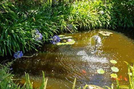 Photo of property in 61 Gilchrist Street, Te Aroha, 3320