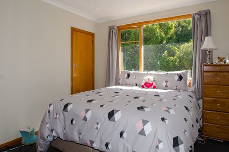 Photo of property in 65 Oakwood Avenue, Maryhill, Dunedin, 9011