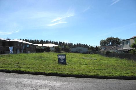 Photo of property in 12 Darby Street, Geraldine, 7930