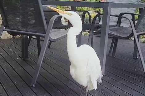 Photo of property in 115 Havill Drive, Awatuna, Hokitika, 7882