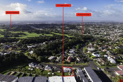 Photo of property in 77 Calluna Crescent, Totara Heights, Auckland, 2105