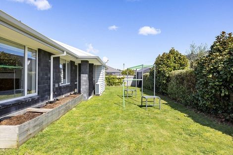 Photo of property in 81 Jarrett Terrace, Leamington, Cambridge, 3432