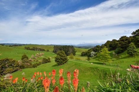 Photo of property in 180 Te Wharau Road, Admiral Hill, Masterton, 5883