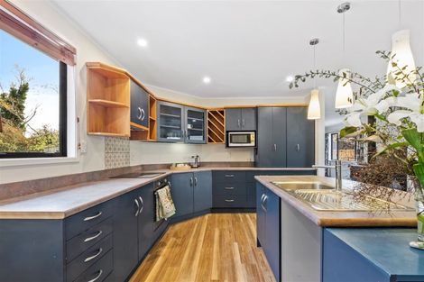 Photo of property in 12 Achray Street, Waiau, 7332