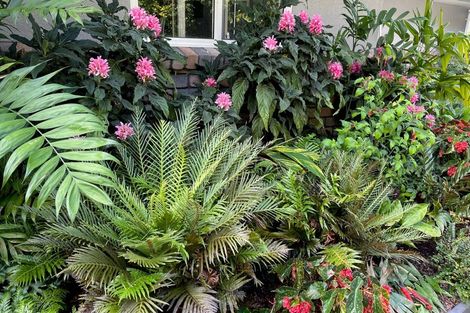 Photo of property in 2 Ascot Downs, Kerikeri, 0230