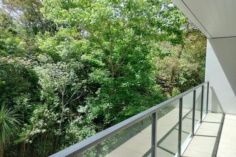 Photo of property in 206/8 Kingsland Terrace, Kingsland, Auckland, 1021