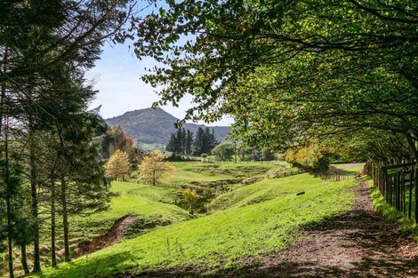 Photo of property in 6339 Matawai Road, Matawai, 4075