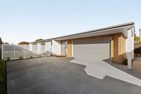 Photo of property in 25b Pine Avenue, Otumoetai, Tauranga, 3110