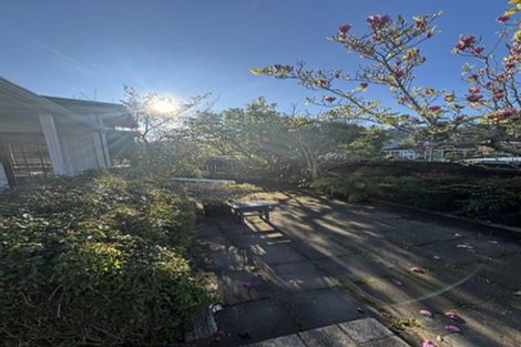 Photo of property in 44 Kings Crescent, Hutt Central, Lower Hutt, 5010