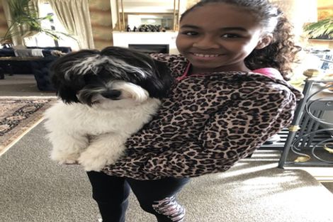 Photo of property in 5 Jefferson Street, Brooklyn, Wellington, 6021